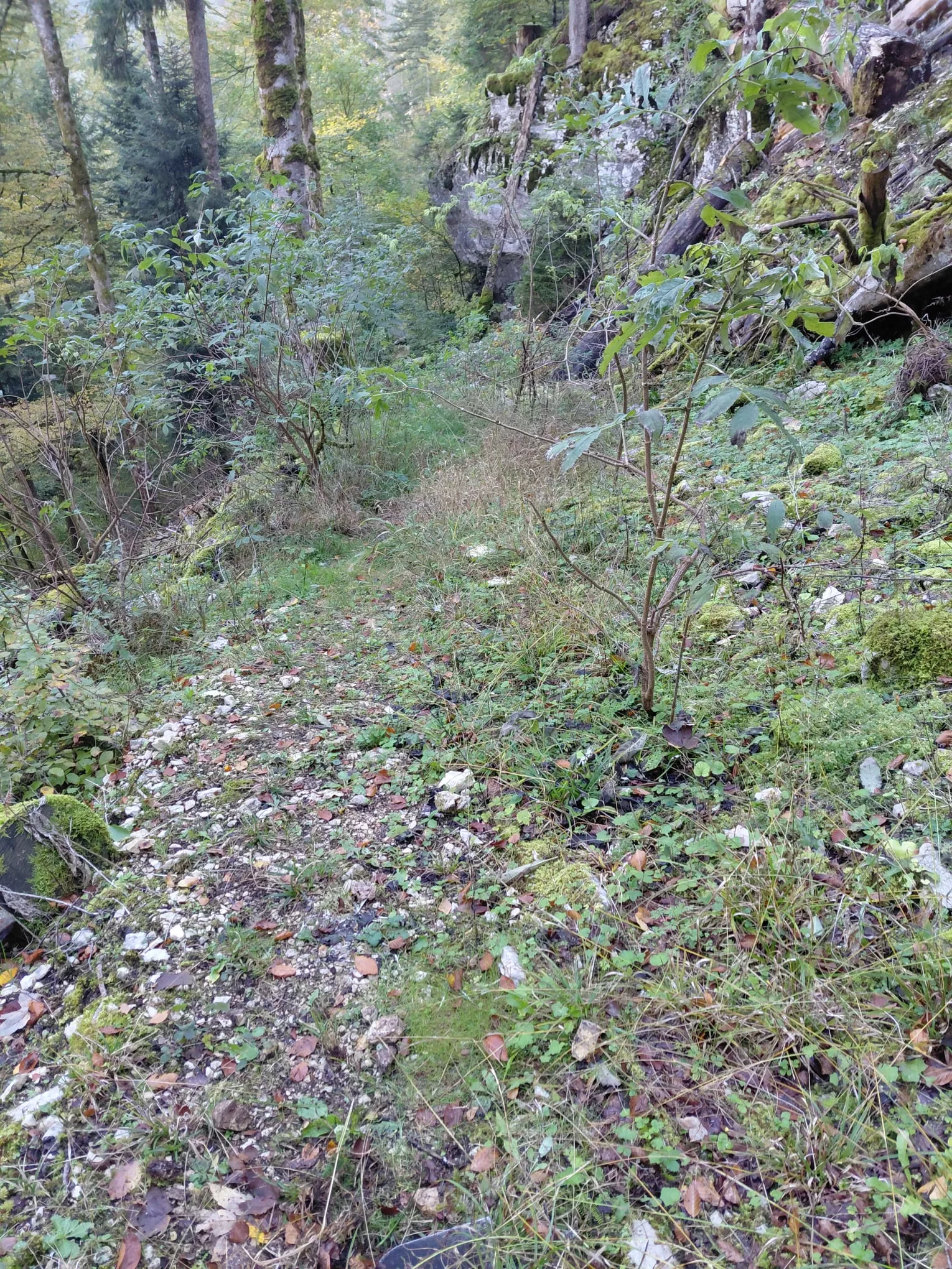 Sentier de Belleroche