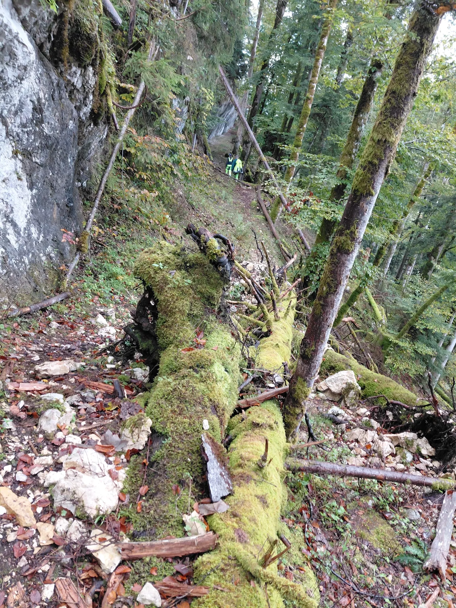 Sentier de Belleroche