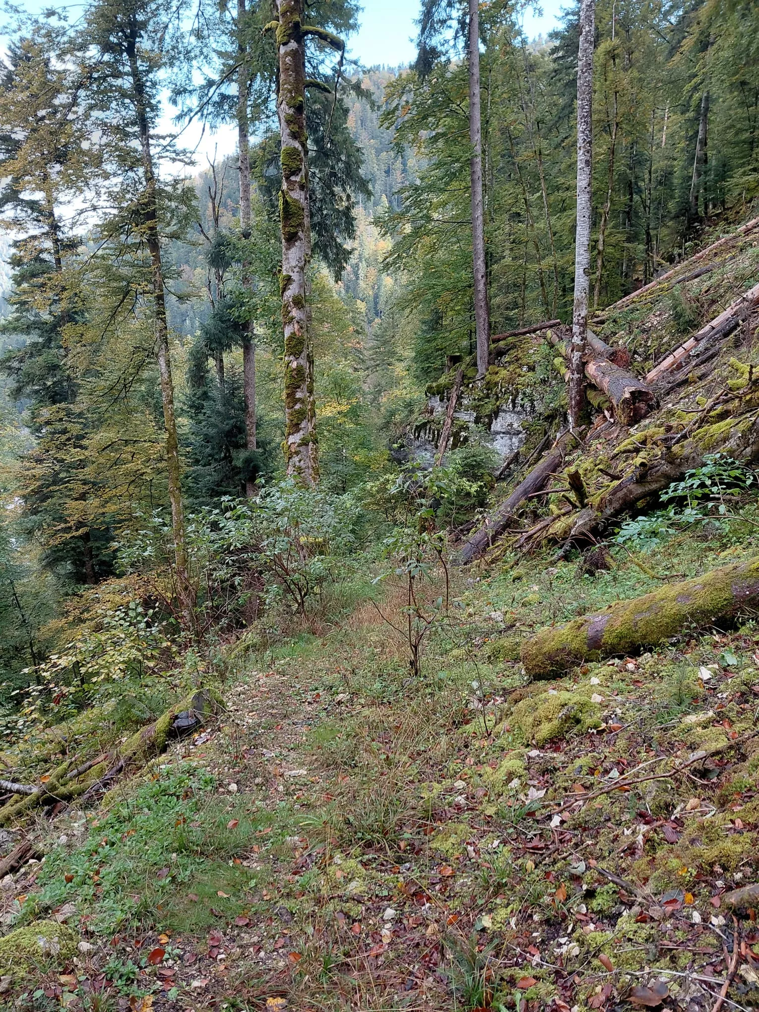 Sentier de Belleroche