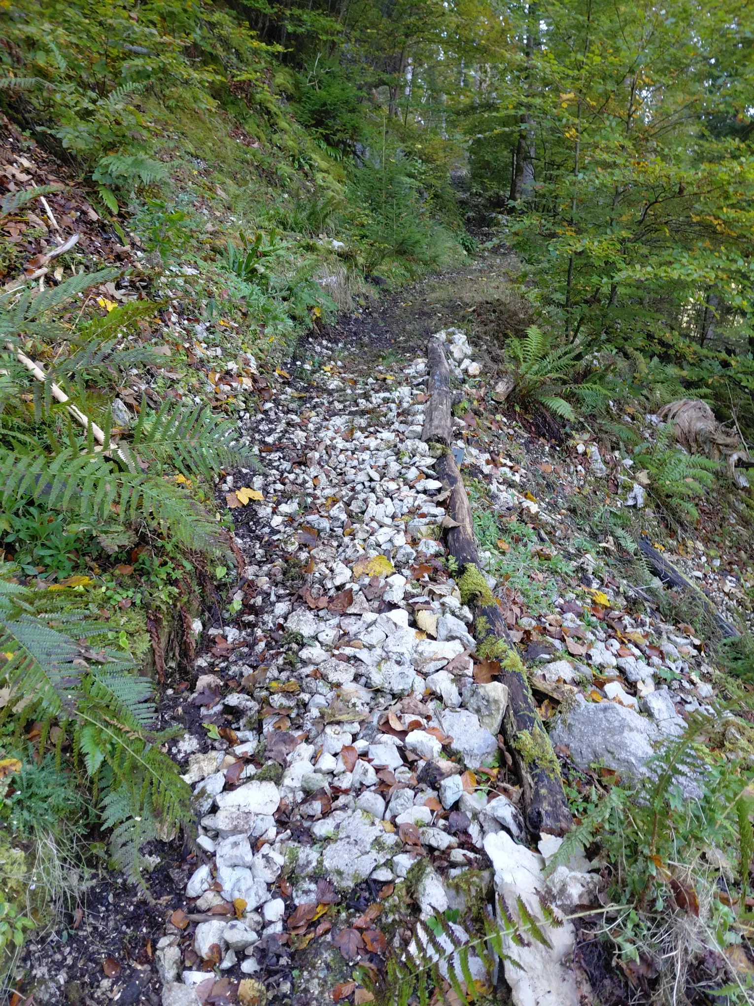 Sentier de Belleroche