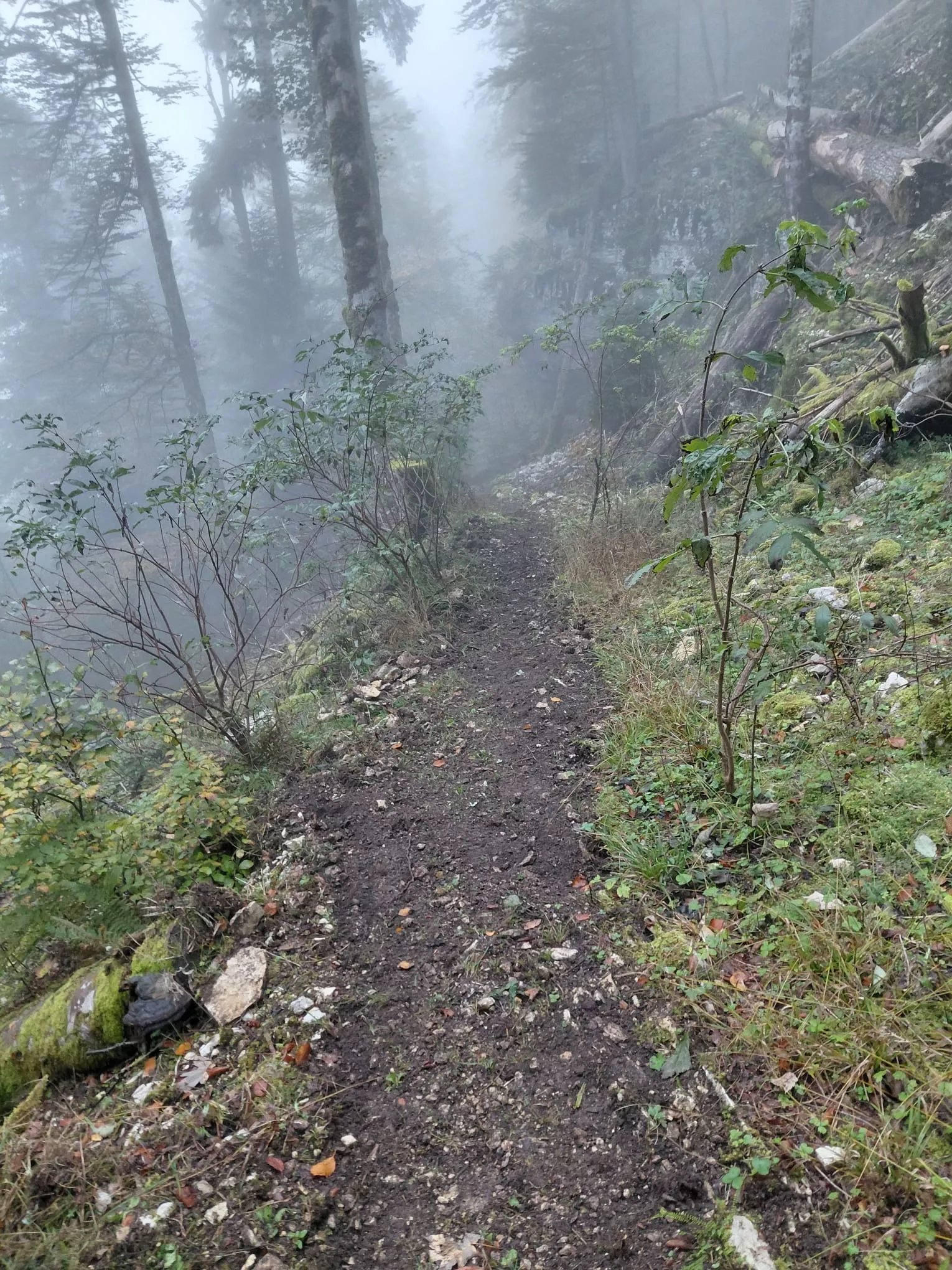 Sentier de Belleroche