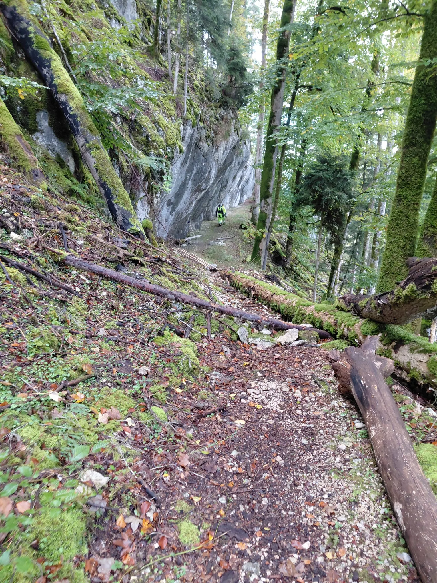 Sentier de Belleroche