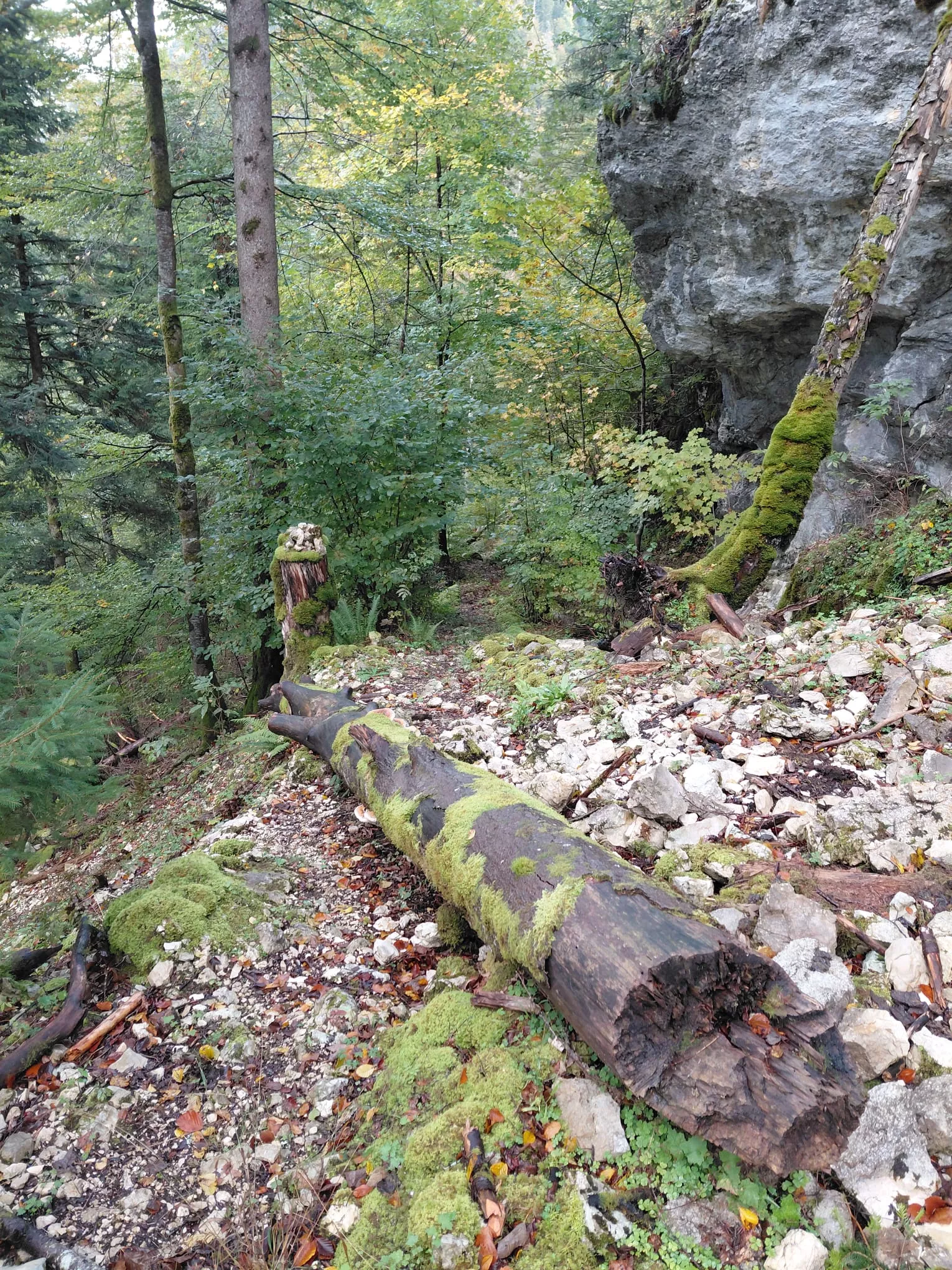 Sentier de Belleroche