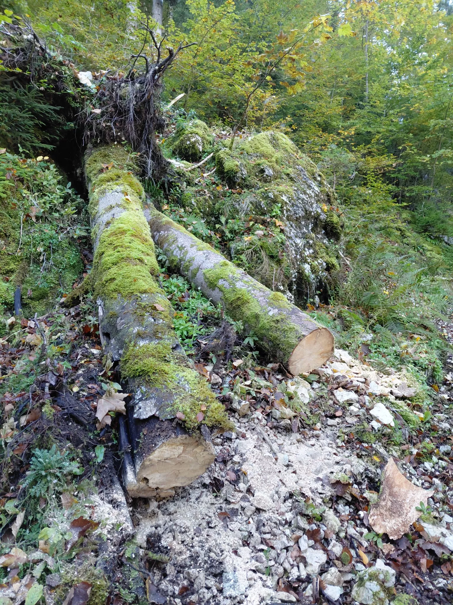 Sentier de Belleroche