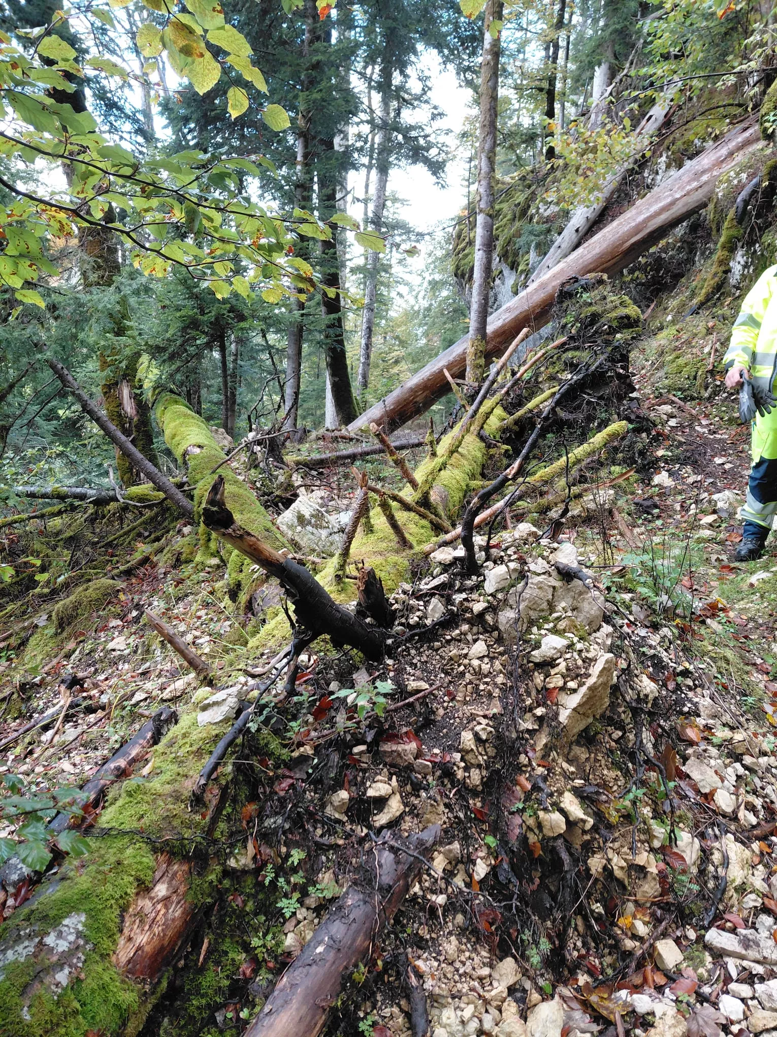 Sentier de Belleroche