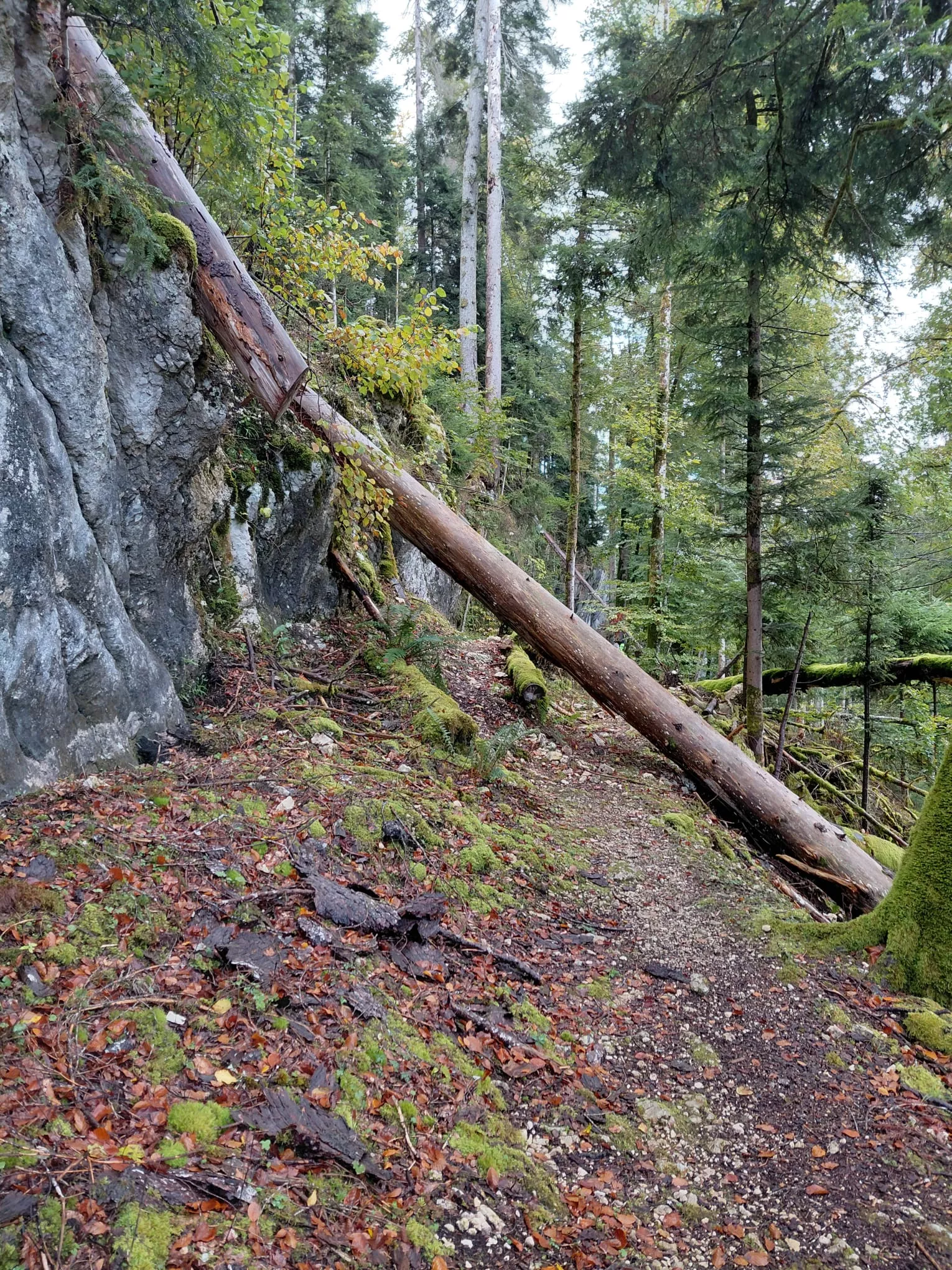 Sentier de Belleroche