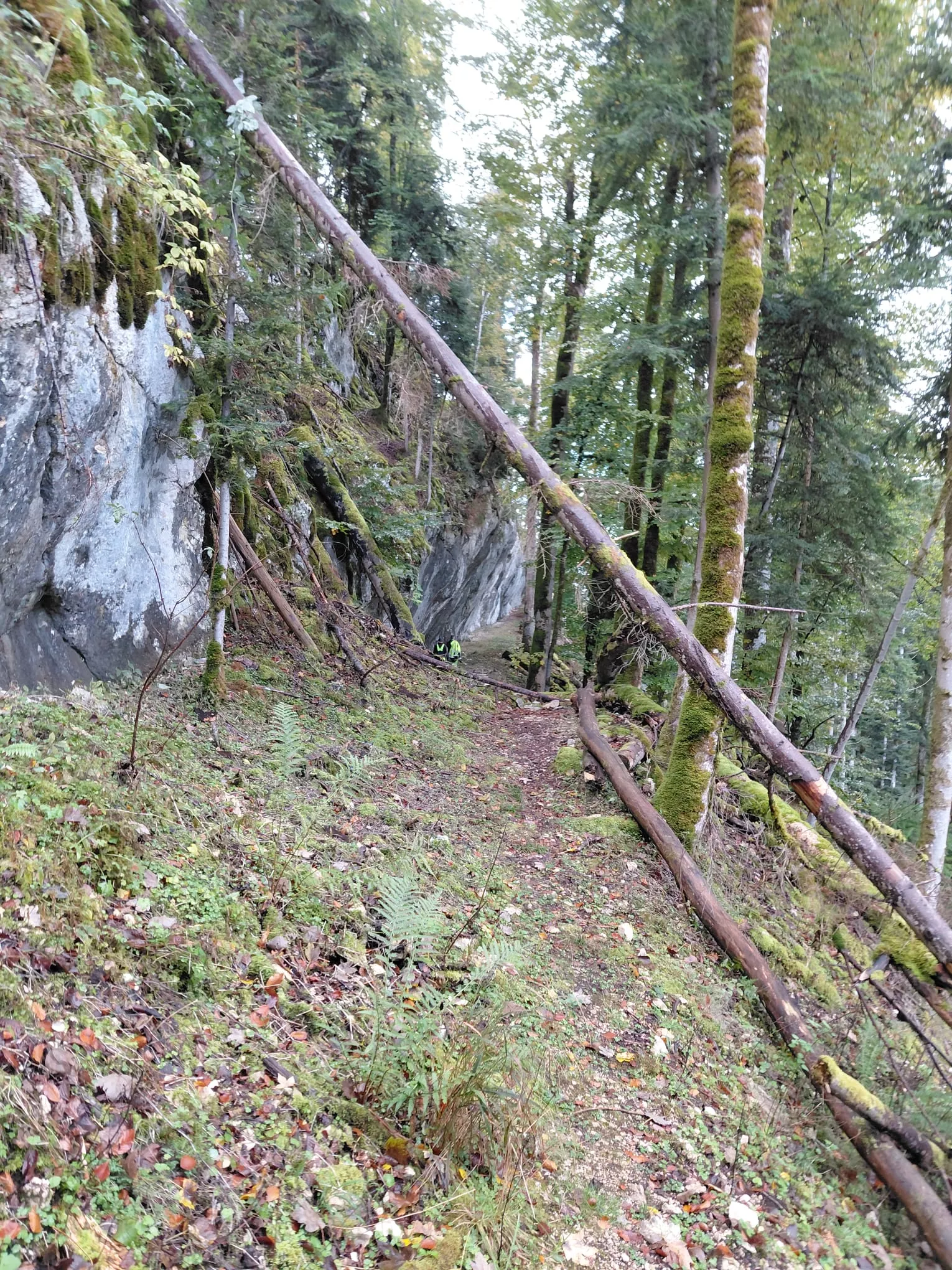 Sentier de Belleroche