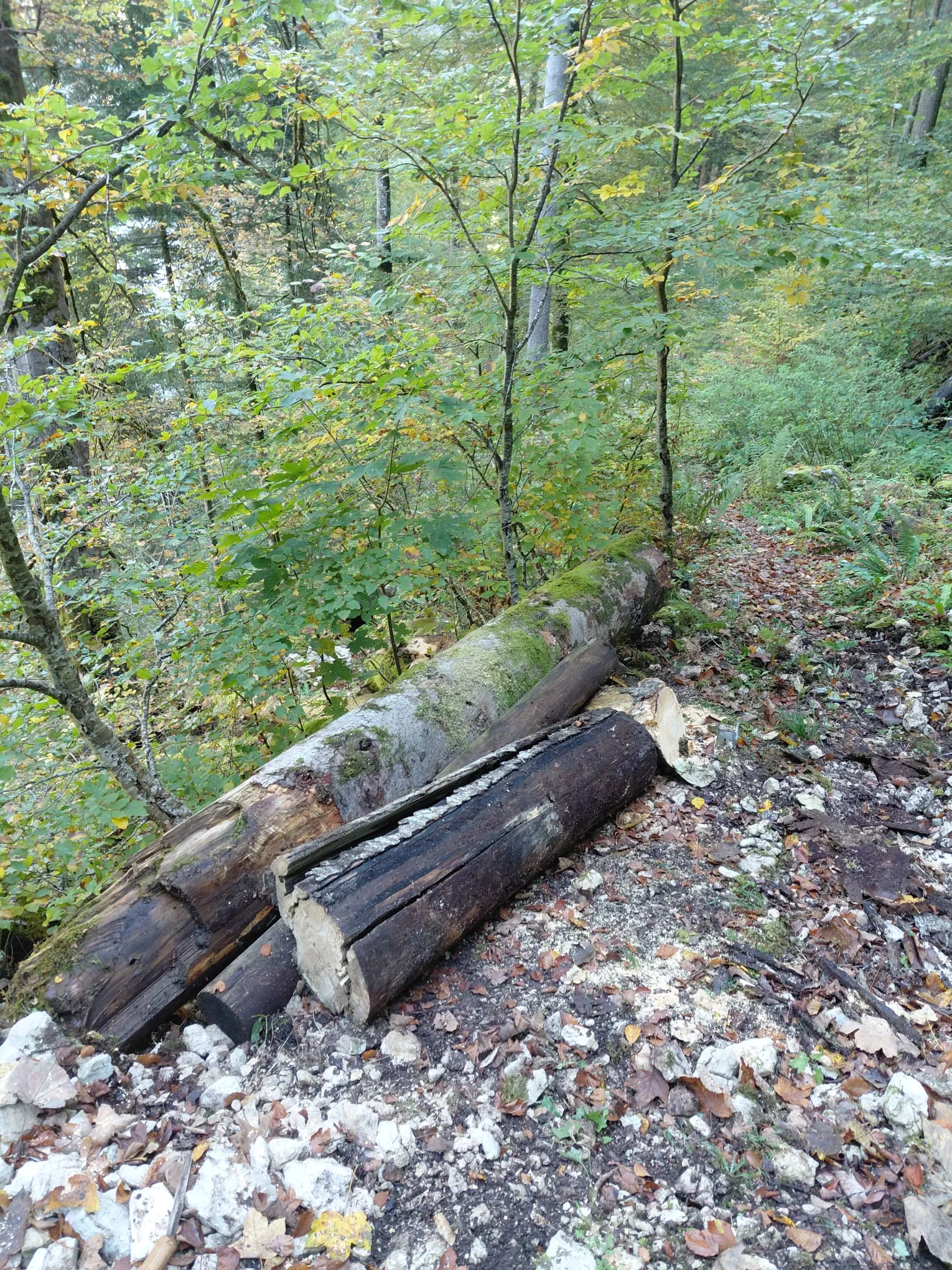 Sentier de Belleroche