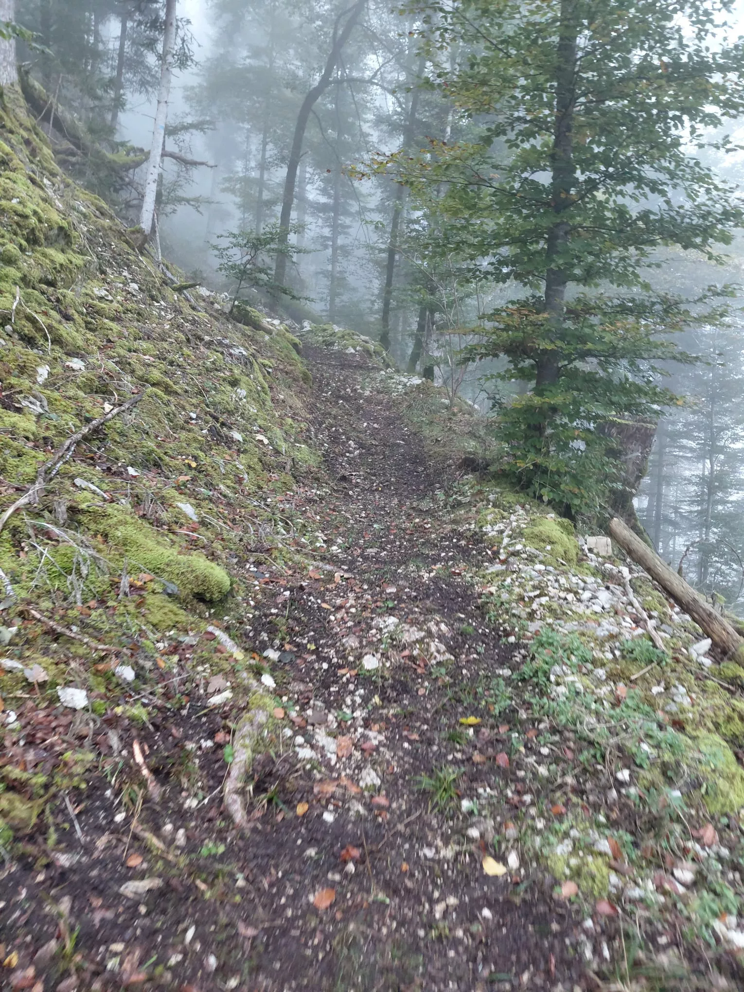 Sentier de Belleroche
