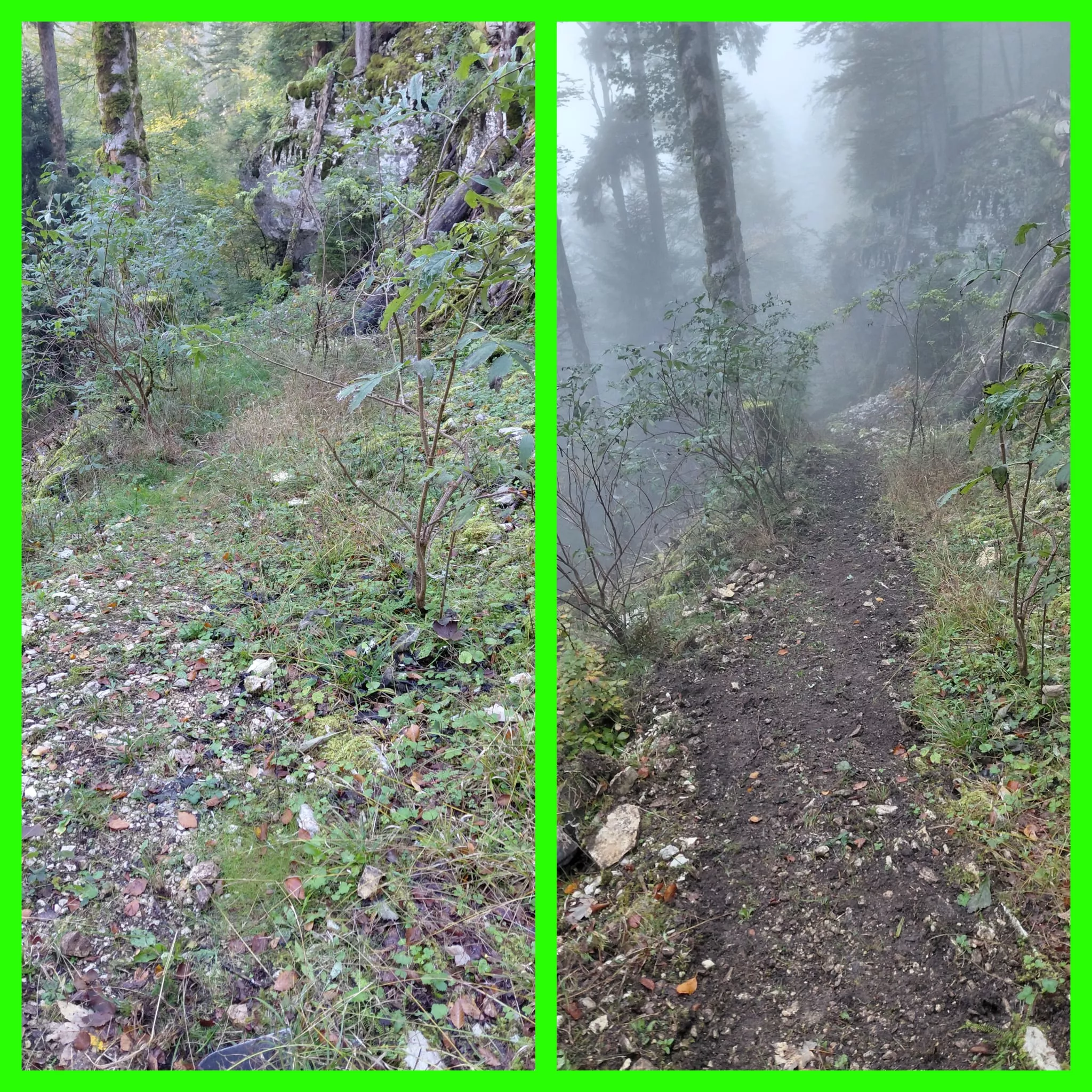 Sentier de Belleroche